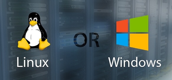 Linux or Windows web hosting – that is the question?